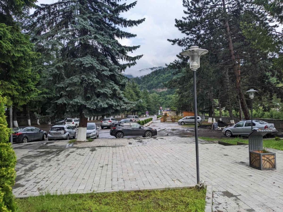 Riverside Боржоми Екстериор снимка